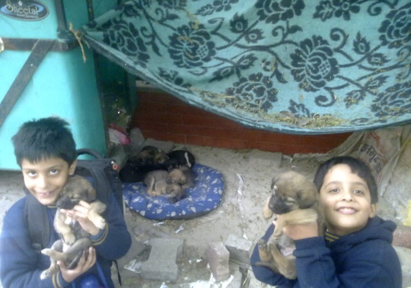 Delhi Twins Win PETA’s Compassionate Kid Award
