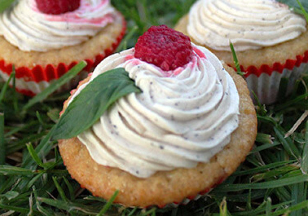 Help PETA Choose the Great Vegan Dessert Challenge Winner