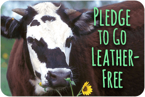 pledge-leather-free-cow-300x220-green