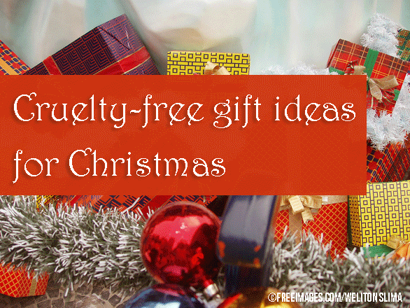christmas-box-1186035-weliton-slima-freeimages