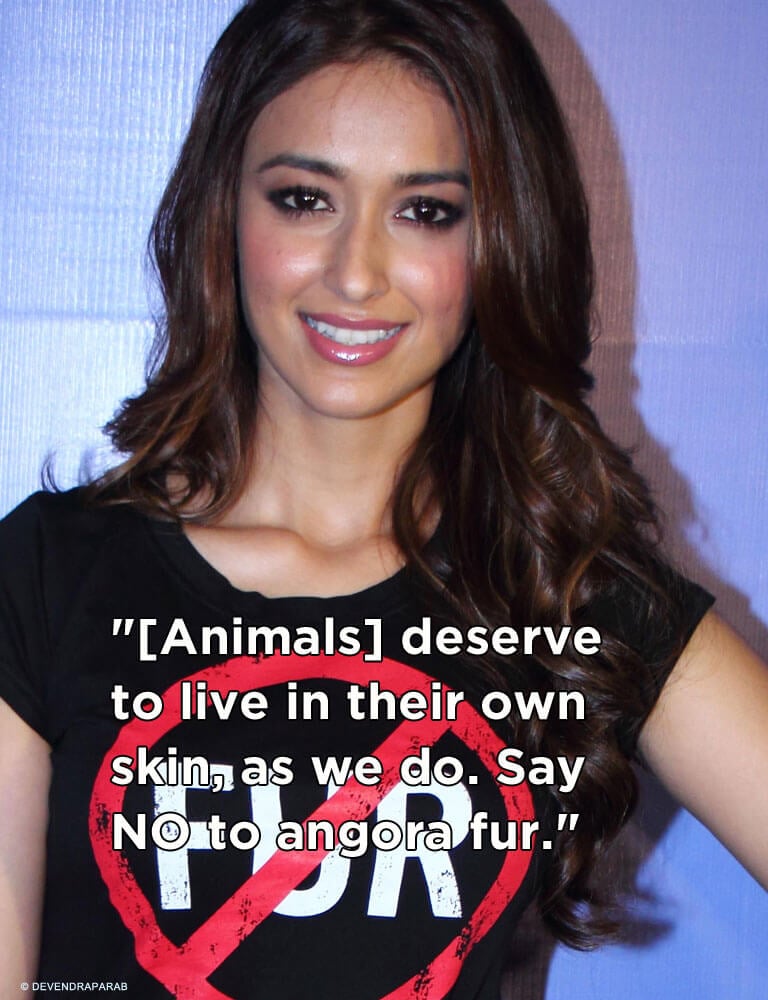 petaindia-blog-famous-people-quotes-ileana-dcruz-v01