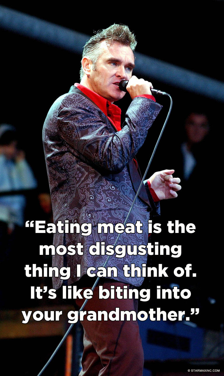petaindia-blog-famous-people-quotes-morrissey-v01