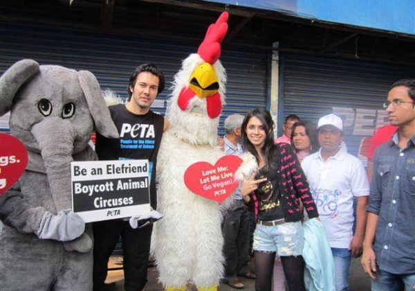 9 Ways Celebrity Volunteers Rocked It for Animals