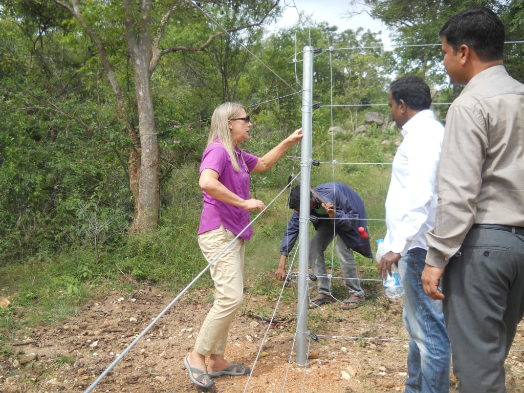 Carol Buckley inspecting the solar electric fence