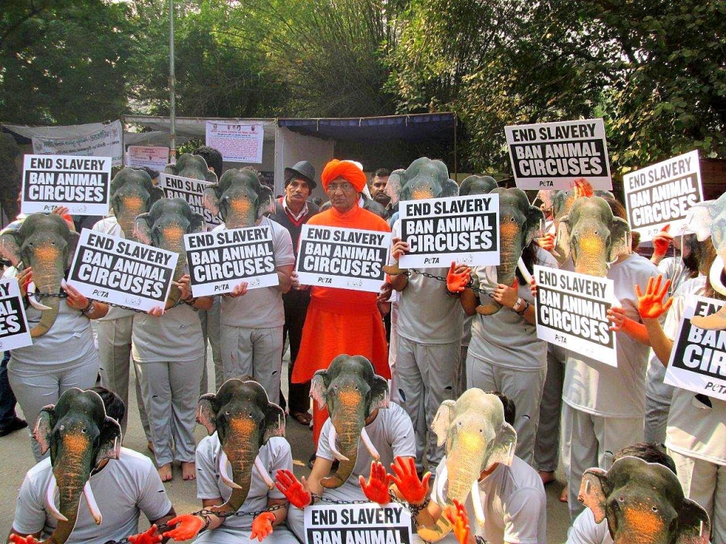 Circus FIAPO jantar mantar delhi 2014