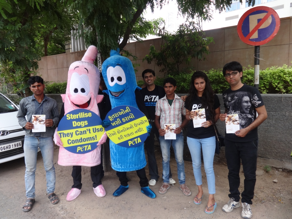 Condom demo - ahmedabad 2014