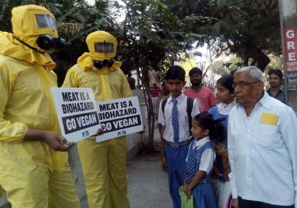 PETA Encourages Telangana to Avoid the Flu