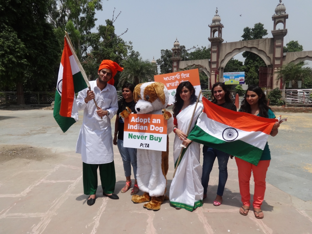 Independence Day Demo 2014- Amritsar