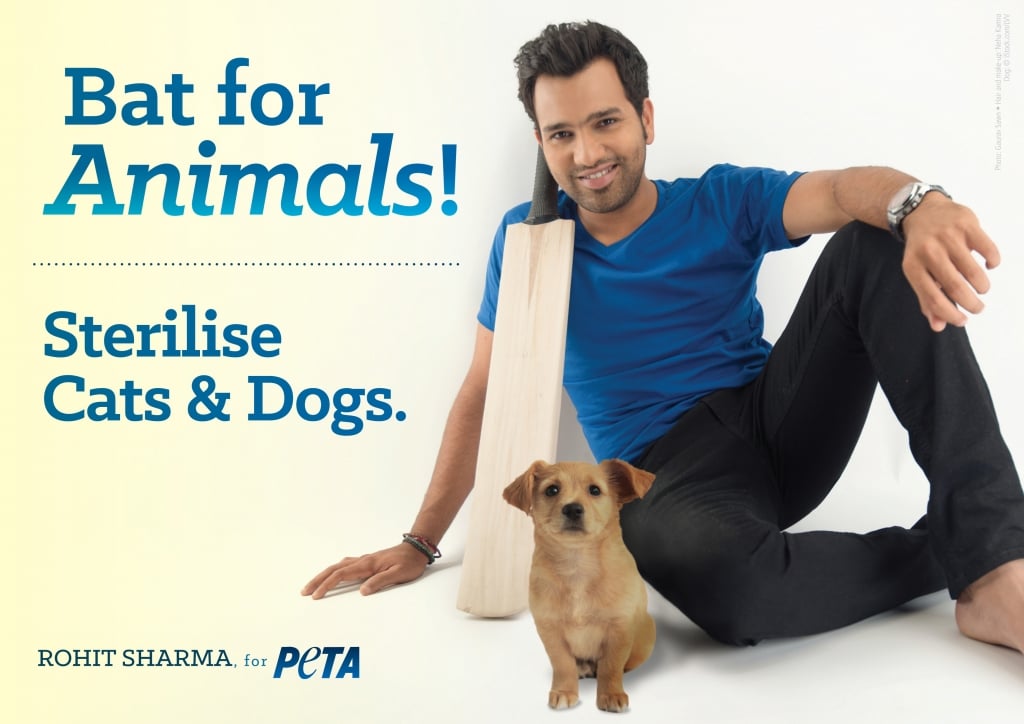 Rohit Sharma Takes a Swing at Animal Overpopulation