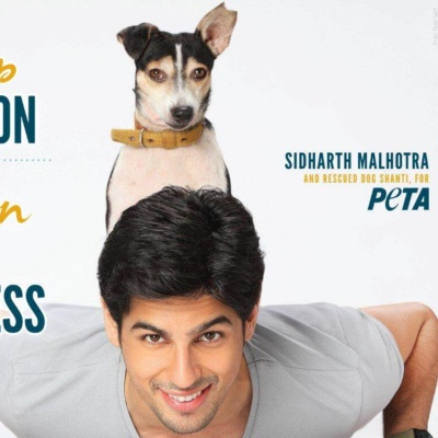 Sidharth Malhotra Speaks Up for Sterilisation