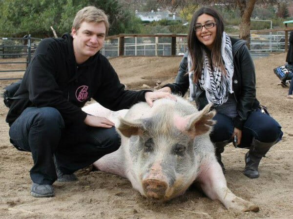 joel-rachelle-pig