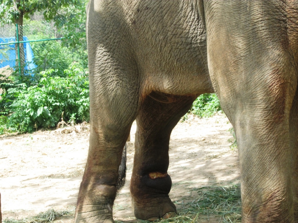 15 pic of sunder journey feature