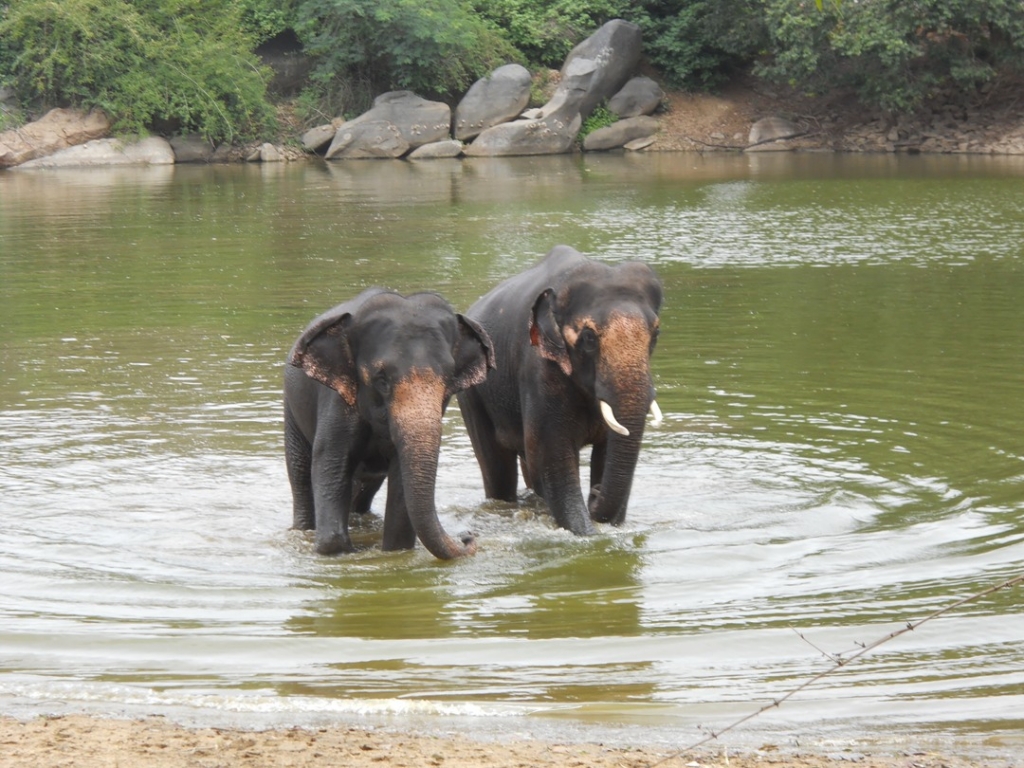 16 pic of sunder journey feature