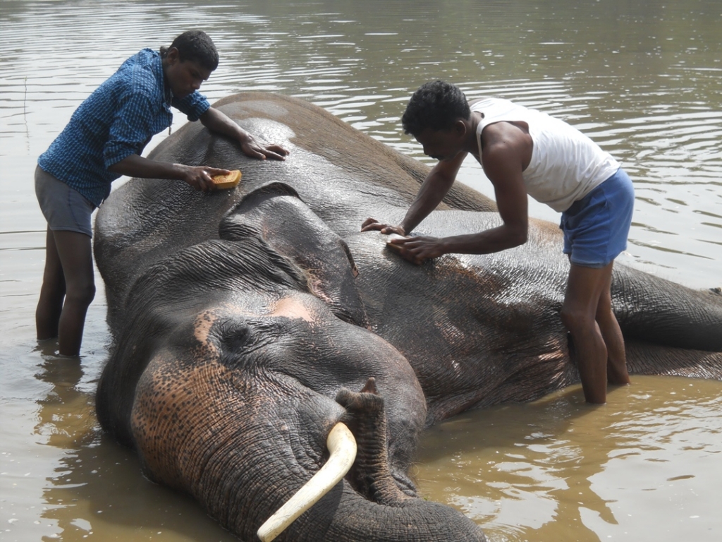 18 pic of sunder journey feature