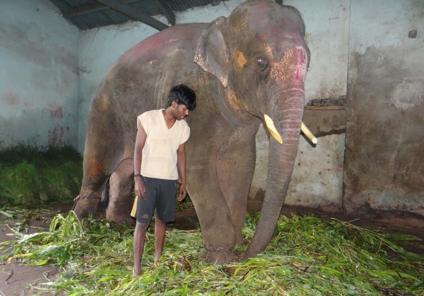 Sunder’s Story: From Sad to Safe