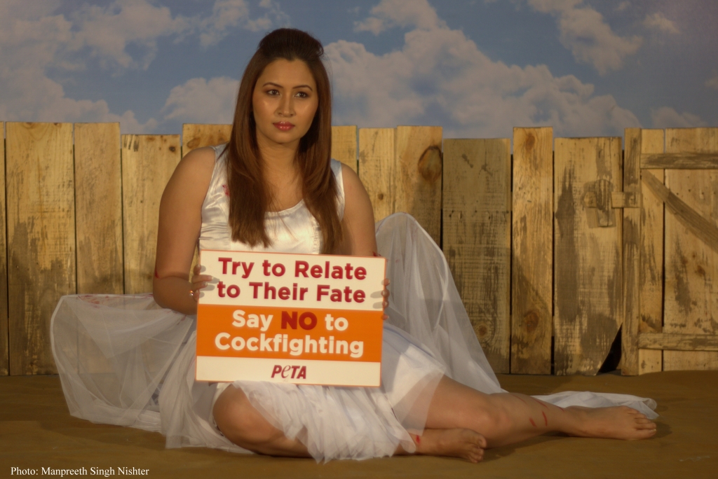 jwala gutta cockfighting press shot - by manpreet