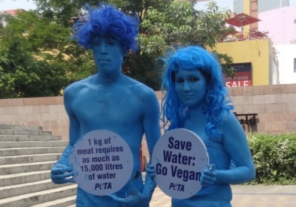 6 Reasons to Go Vegan This World Water Day