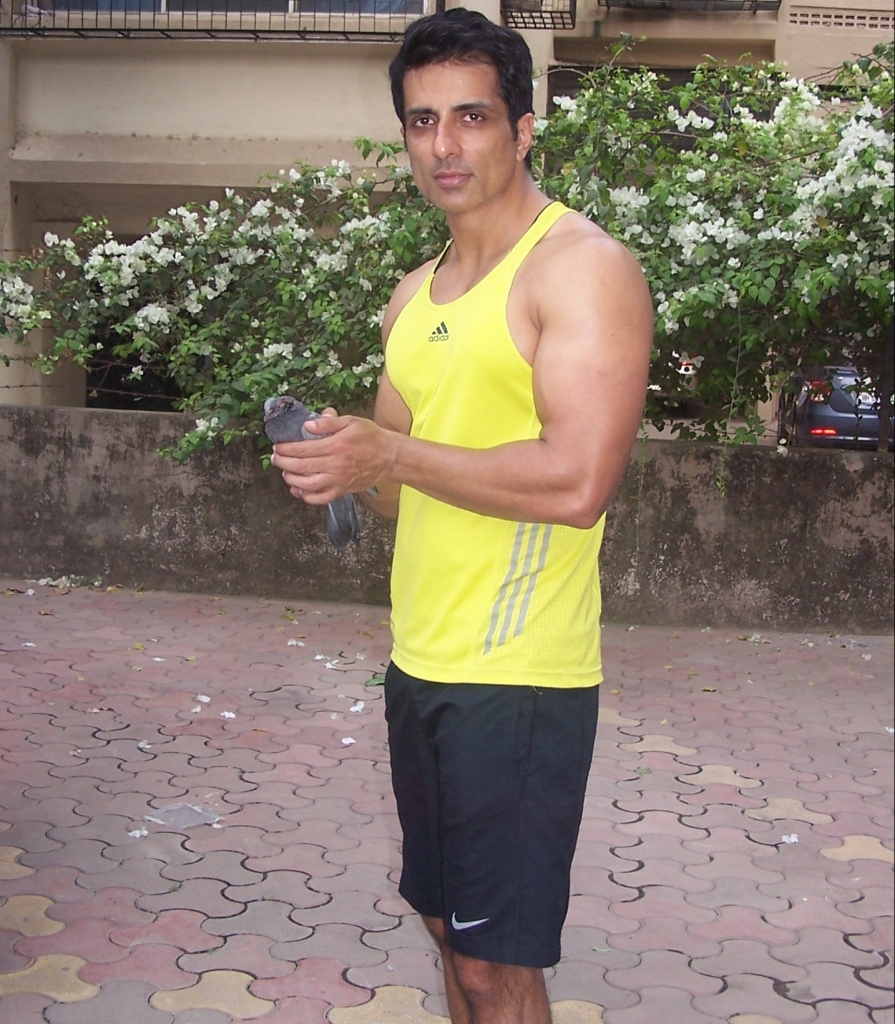 sonu sood rescues pigeon