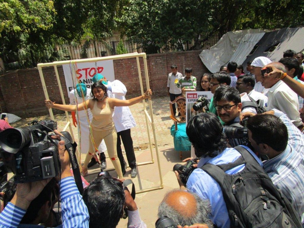 woman experimented on demo photo - delhi 23 april 2015 (3)