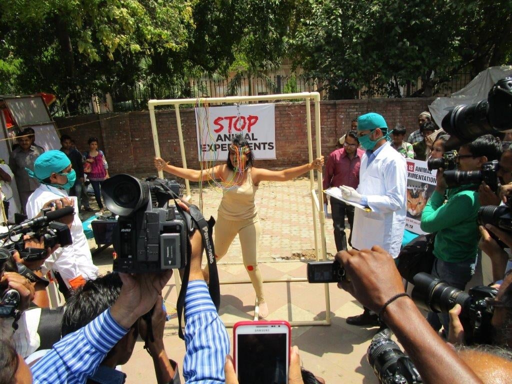 woman experimented on demo photo - delhi 23 april 2015 (4)