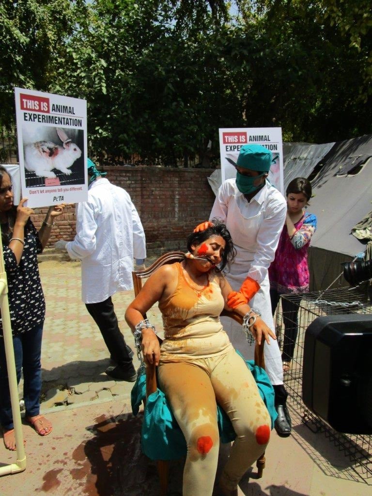 woman experimented on demo photo - delhi 23 april 2015 (7)