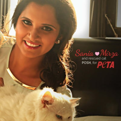 Sania Mirza Stars With Her Adopted Cat Posh in PETA Ad