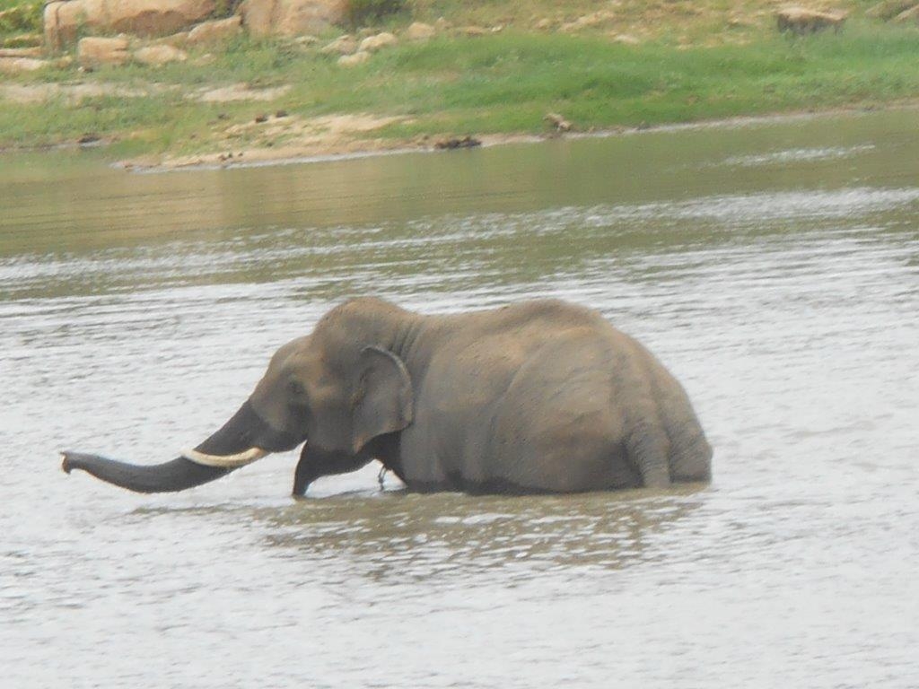 Sunder taking a dip at BBP