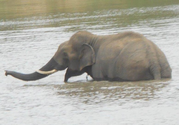 Workshop on Humane Handling at Sunder’s New Home