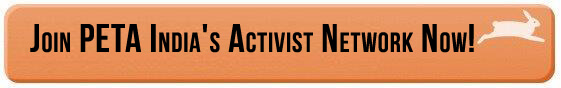 activist network