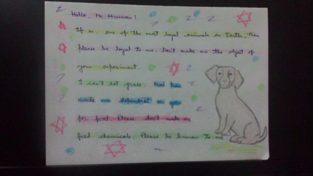 mission photos for animals in labs - 2015 (9)