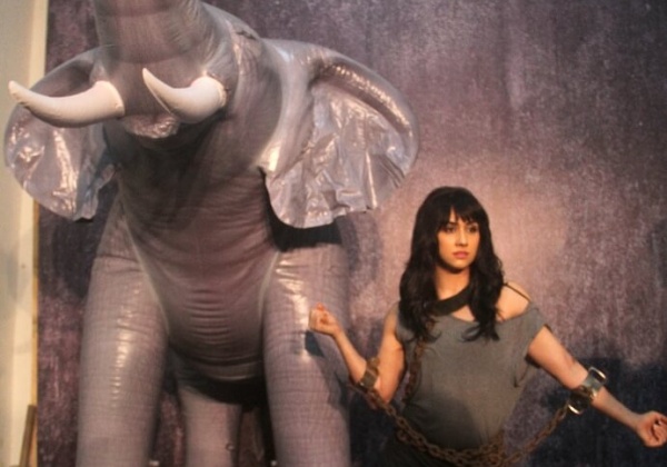 Lauren Gottlieb Combats Circus Cruelty