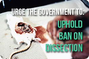 Action-button-dissection-ban