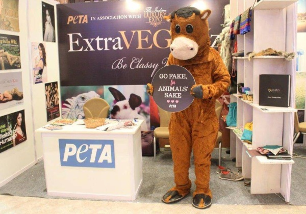 ExtraVEGANza at the Chennai Indian Luxury Expo