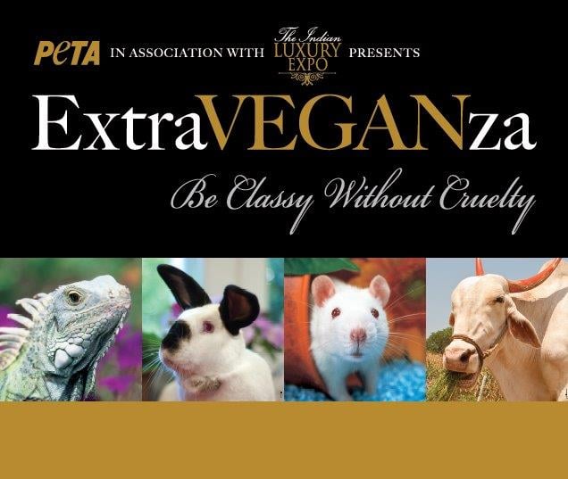 ExtraVEGANza Art Work