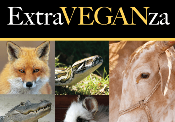 INIFD to Promote Ethical Fashion With PETA