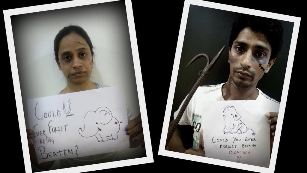 elephants-dont-forget-peta-india