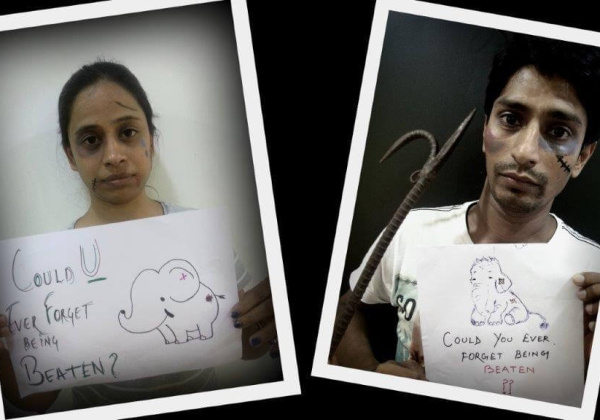 Show ? for Elephants in Circuses