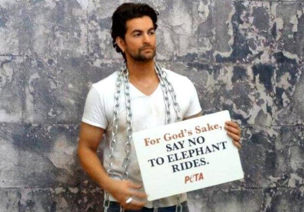 Neil Nitin Mukesh Says NO To Elephant Joyrides