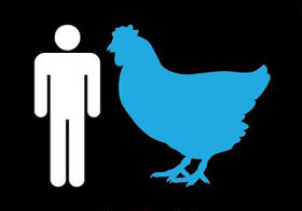 PETA Youth Offers ‘I, Chicken’ Virtual Reality Experience to Students