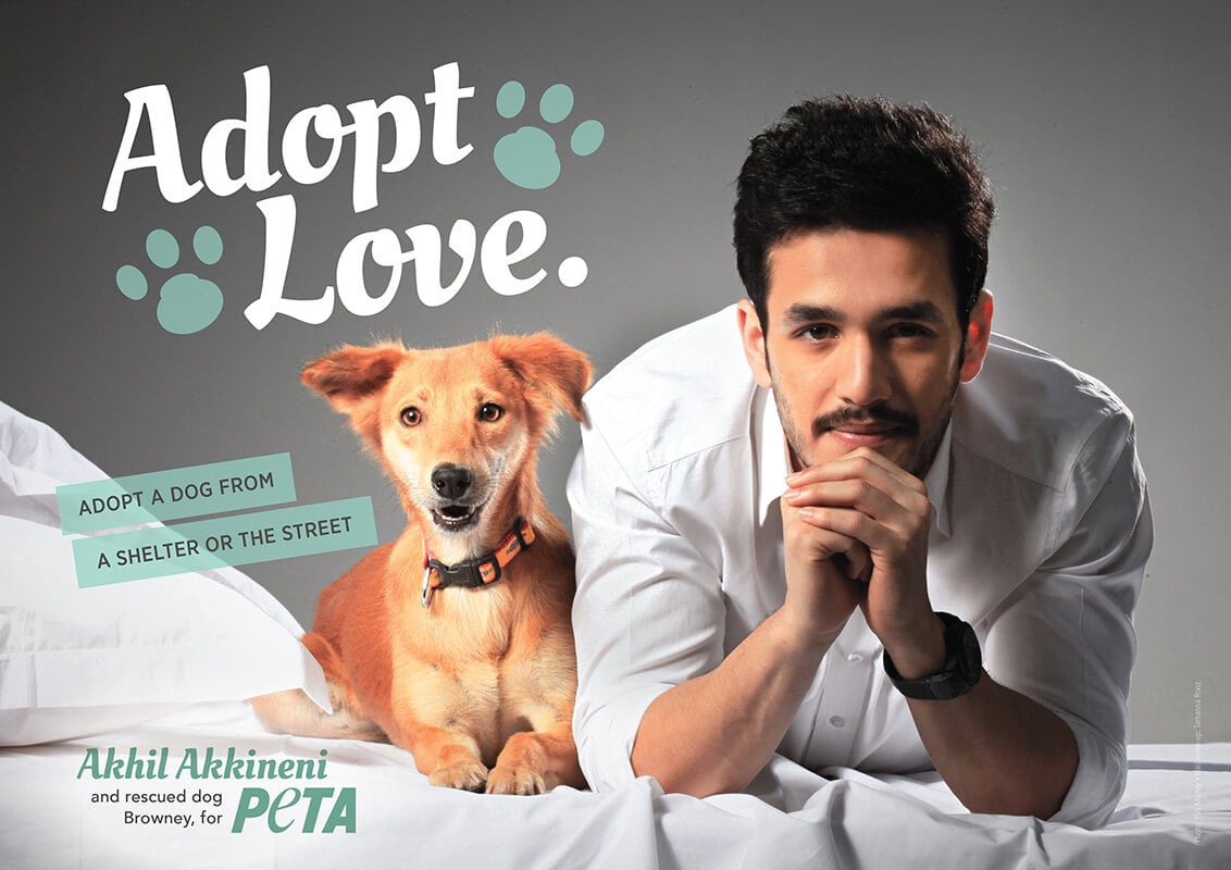 Akhil Akkineni Tells Fans 'Adopt, Never Buy, Animals' in PETA Campaign