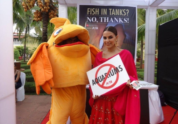 2015: An Awesome Year for Animals
