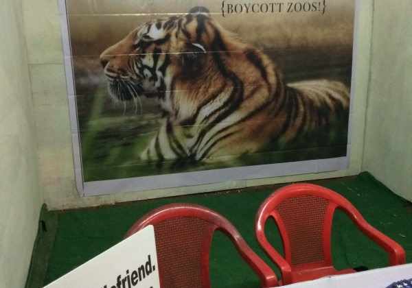 PETA Partners With Northeast India Fashion Weekend to Save Animals