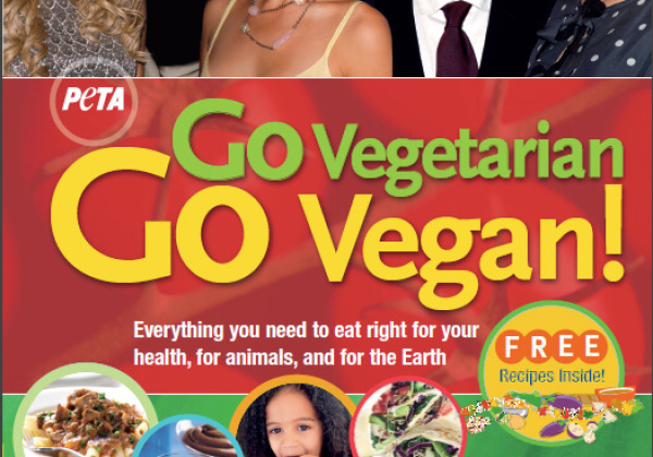 Talk in Delhi on Sunday: Vegan Eating and World Peace