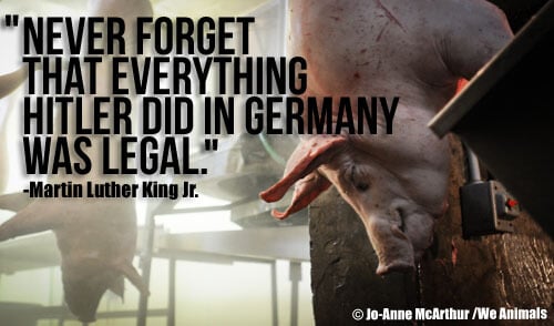 Martin Luther King Jr. and Animal Rights - Blog - PETA India