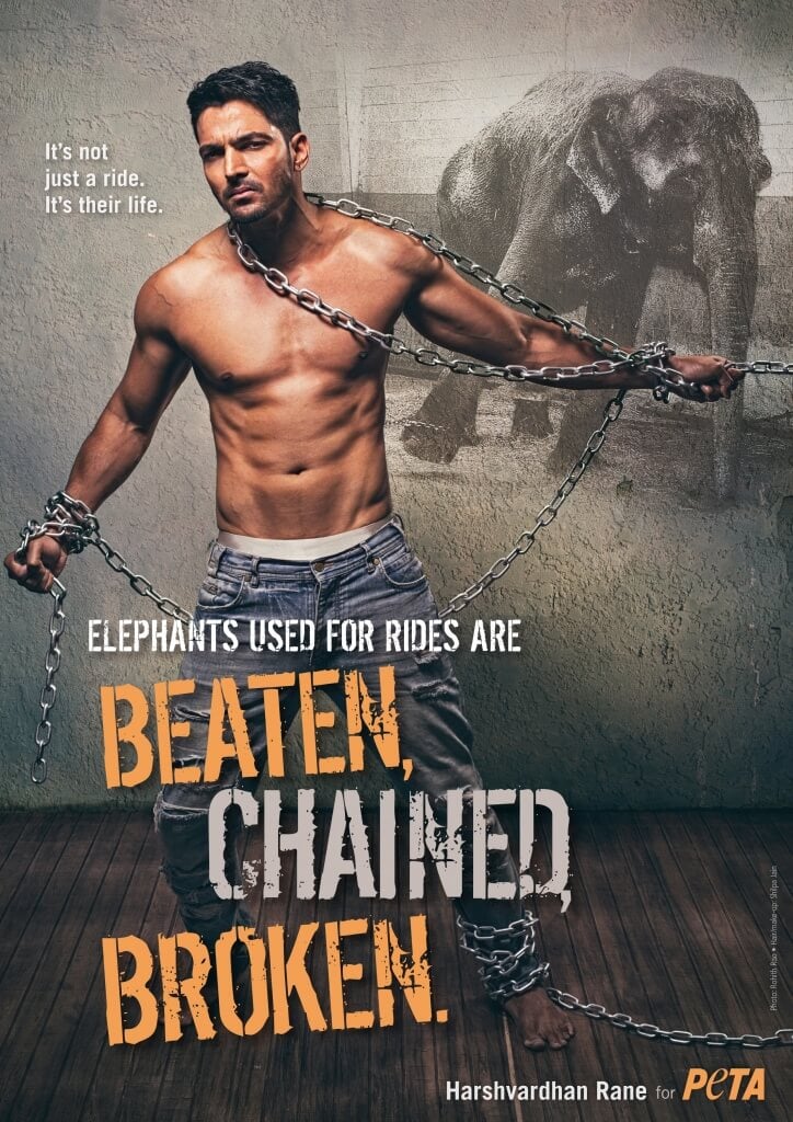 Harshvardhan Rane_Elephant Ride Ad_FINAL04.07_300