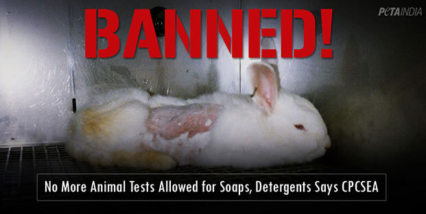 Indian Soap and Detergent Manufacturers Prohibited From Testing on Animals  - Blog - PETA India