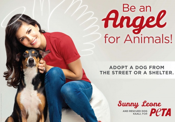 Sunny Leone Shows Off Her ‘Angel Wings’