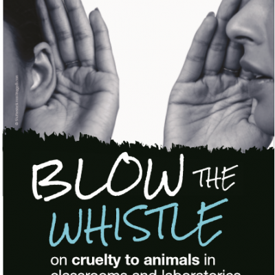Whistleblower
