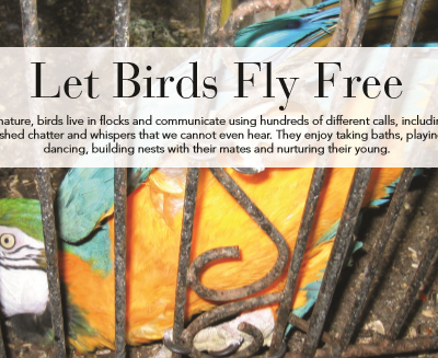 Caged birds