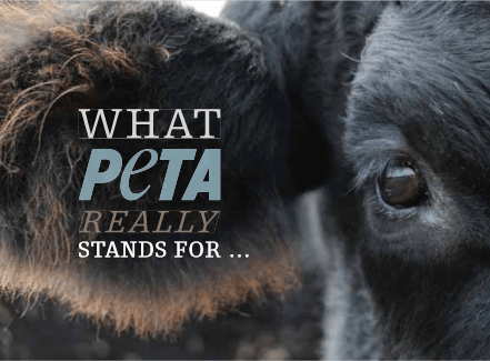 What PETA stands for